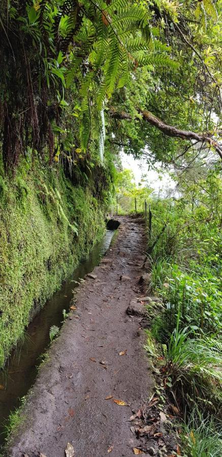 Bauernhof Casa Da Tia Clementina Santana (Madeira)
